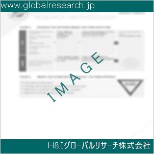 グローバルリサーチ調査資料のイメージ
